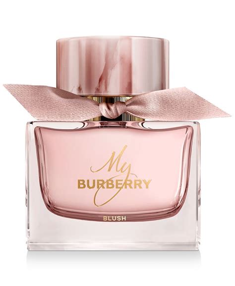 burberry parfum damen blush|burberry blush perfume 3 oz.